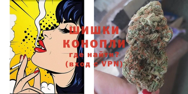 молекула духа Новосибирск