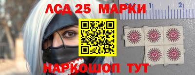 шишки Берёзовский