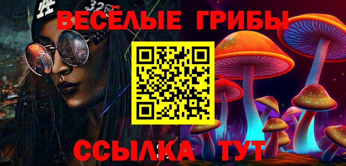 закладка  Псилоцибиновые грибы Cubensis  Вход с VPN  Бор 