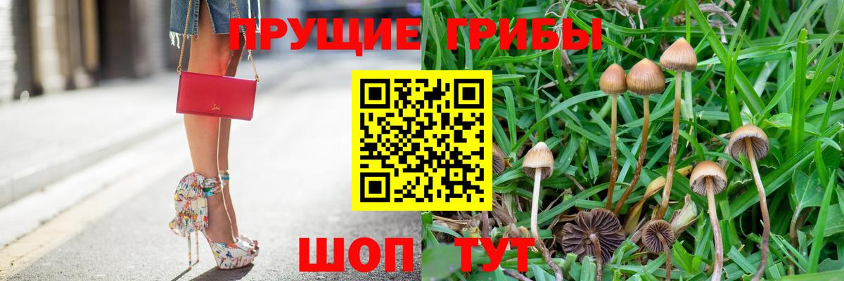 Псилоцибиновые грибы Magic Shrooms  Бор 